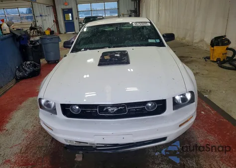 2009 Ford Mustang from USA, damaged, VIN 1ZVHT80N695116207